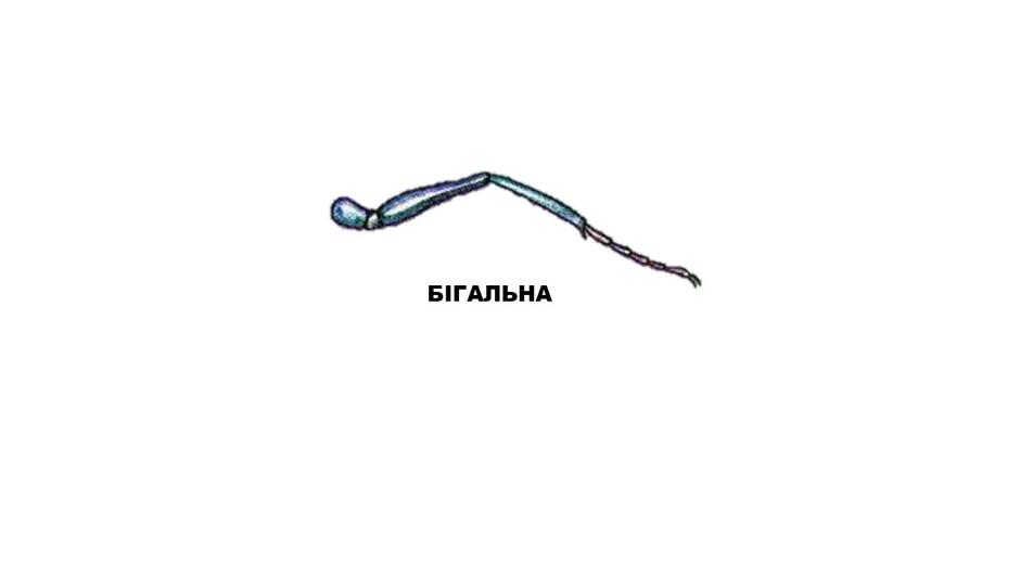 02013skv-521d-940x529.jpg