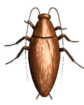 02013sl1-08fd-280x350.gif
