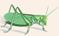 02013sld-67ce-195x122.gif