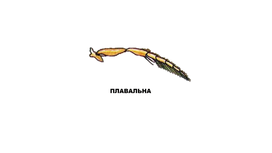 02013sm6-a672-940x529.gif
