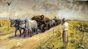 Презентація "Соціально-економічний розвиток Наддніпрянських земель"
