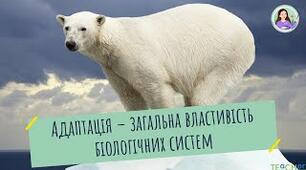 Адаптація як загальна властивість біосистем (Частина 1)