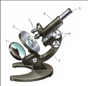 02013wlk-e5e0-301x297.png