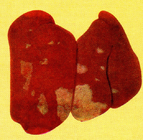02013wyk-8568-143x140.png