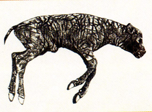 02013wz6-4266-222x164.png