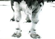 02013wzu-c0e8-176x127.png