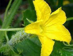 02013yuh-c1d2-257x196.jpg