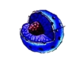 02013zmh-a21c-157x116.png