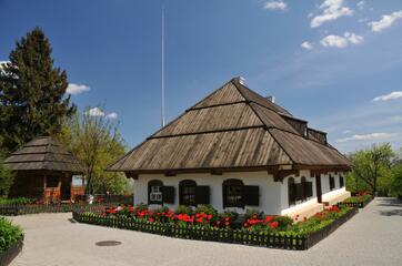 0201405w-9509-362x240.jpg