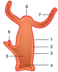 020140oh-64c1-202x251.png