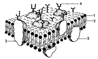 02014221-a9d0-328x198.png