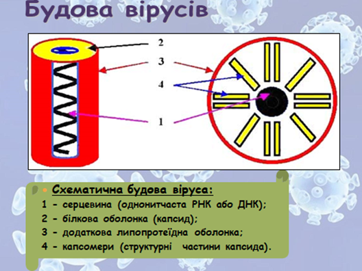 0201424w-5f28-528x396.png