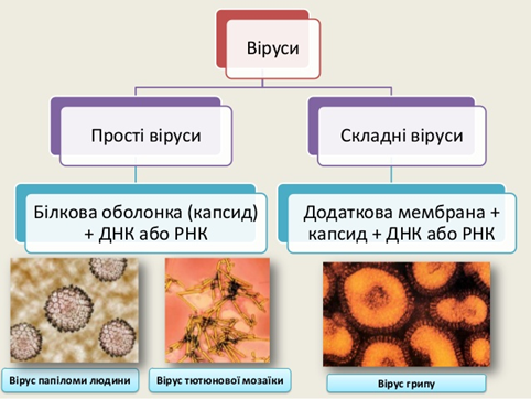 02014253-adf6-482x362.png