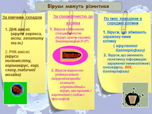 02014257-9f7d-497x373.png