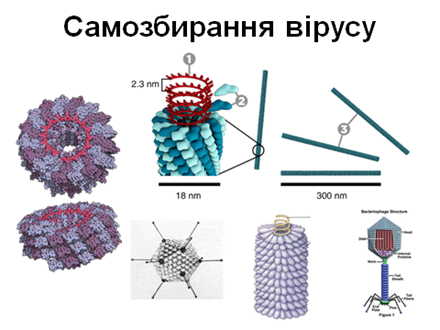 0201425c-aa57-440x330.png