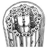0201425o-cbc4-153x158.png