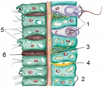 020142ru-0089-373x306.png