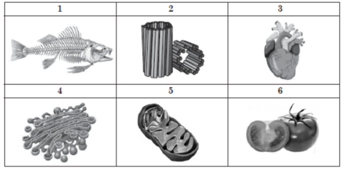 02014420-a56f-496x245.png