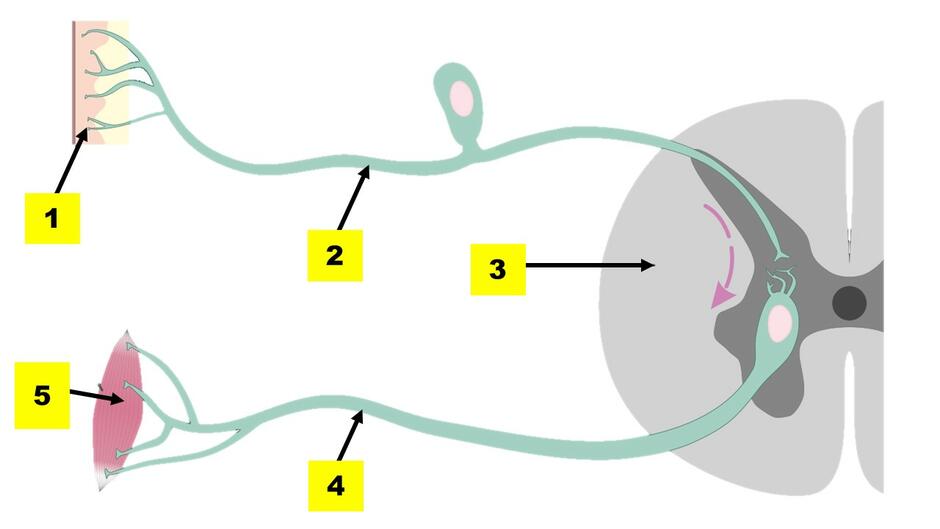 020144ep-58f6-940x529.jpg