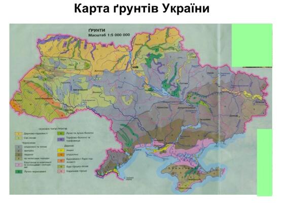 02014603-e915-560x420.jpg