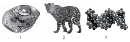020146lr-b451-446x144.png