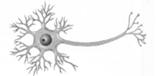 020146ox-cc9d-315x155.png