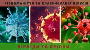 Презентація на тему "Різноманіття вірусів та принципи їхньої класифікації. Віроїди та пріони"
