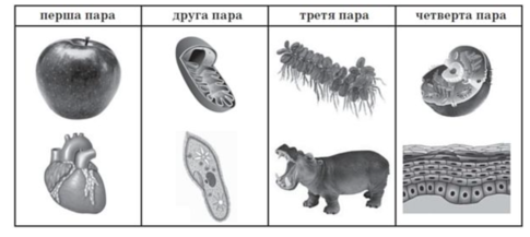0201490k-765e-485x217.png