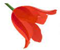 02014ada-8f26-121x101.png