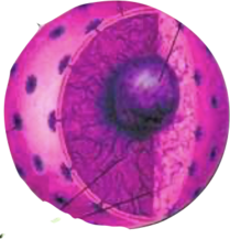 02014dvt-8b7e-209x217.png