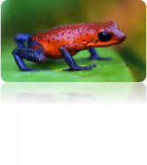 02014e1i-77e8-166x187.png