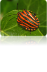 02014e1k-0da8-95x146.png