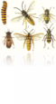 02014e3e-730b-62x115.png