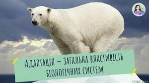 Адаптація як загальна властивість біосистем (Частина 2)
