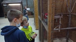 Відвідування виставки пухнастиків і їхніх друзів мавпочок