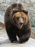 02014k52-93f4-194x259.jpg