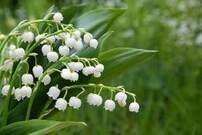 02014k93-f346-280x187.jpg