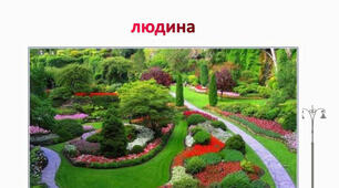 Ландшафтний дизайн як творчий метод облаштування довкілля