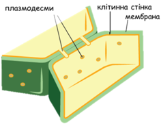 02014nge-1f8f-374x287.png