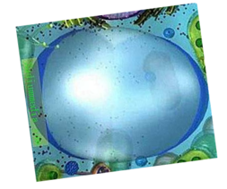 02014ngn-cf9b-401x334.png