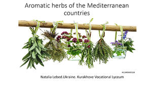 Міжнародний проєкт " Aromatic herbs of the Mediterranean countries/ Ароматичні трави Середземноморських країн "