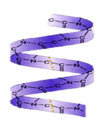 02014o7g-e629-211x237.png