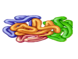 02014o8n-50ba-330x247.png