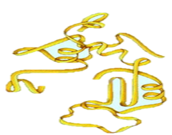 02014o8s-cc43-343x269.png