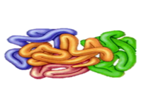 02014odq-e448-206x154.png