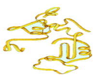 02014ody-2f92-197x155.png