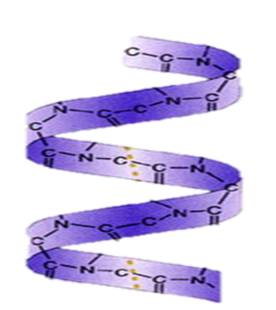 02014ohe-b028-276x310.png