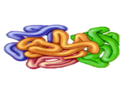 02014oho-3d88-263x197.png