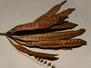 02014pn0-4115-91x68.jpg