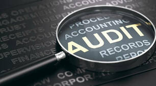 Auditing 